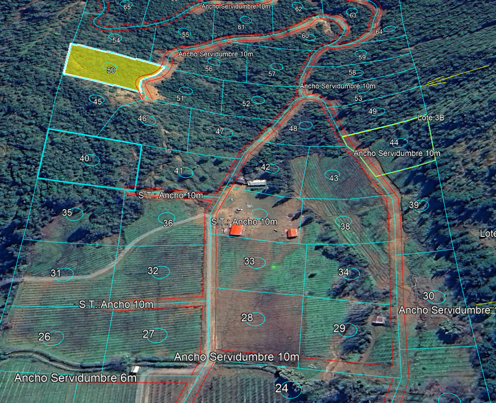 Lote 7 · Parcela 50