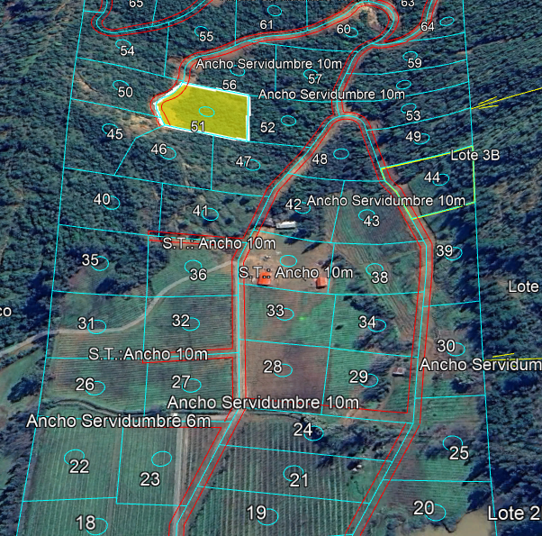 Lote 8 · Parcela 51