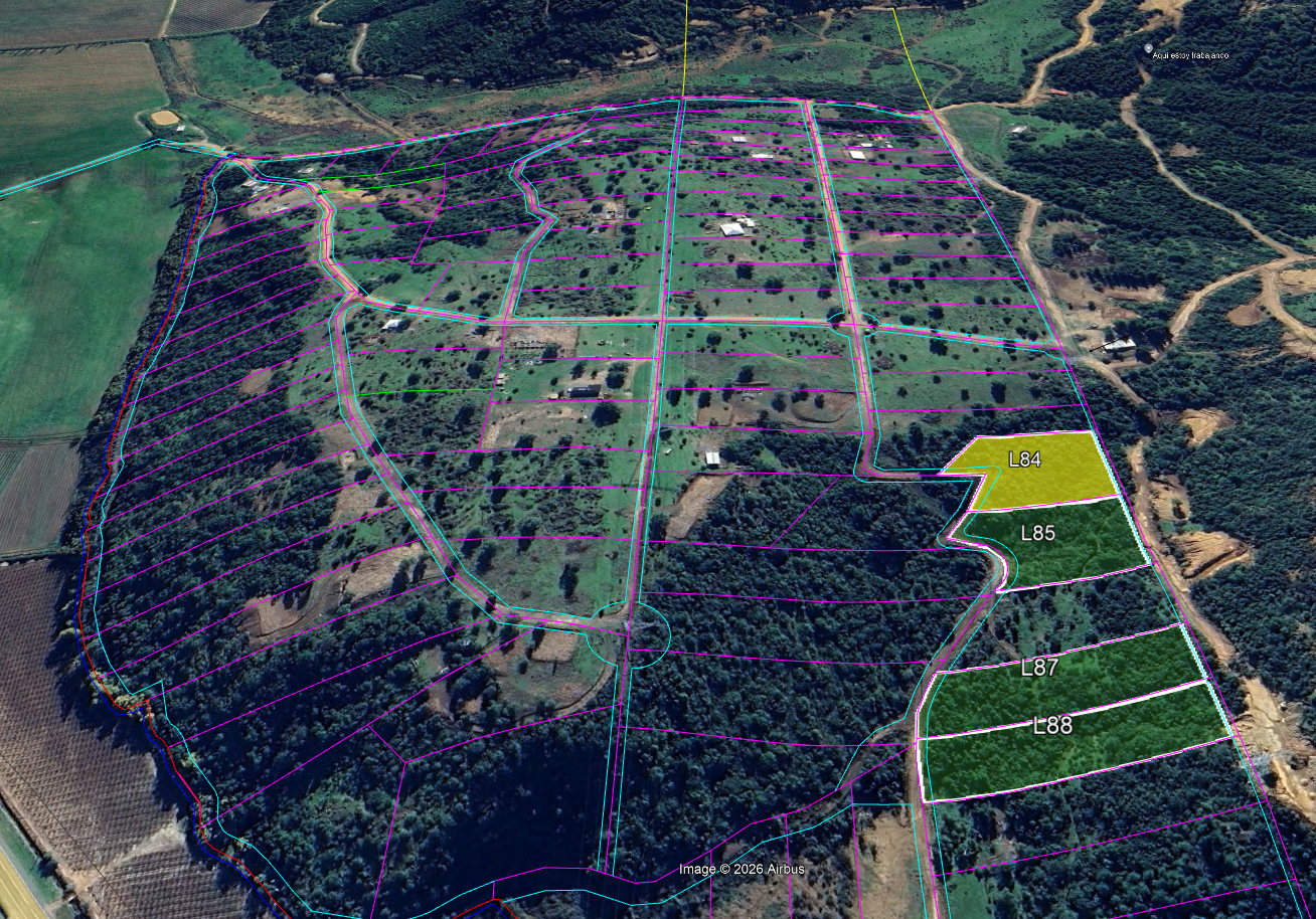 Lote 13 · Parcela 84