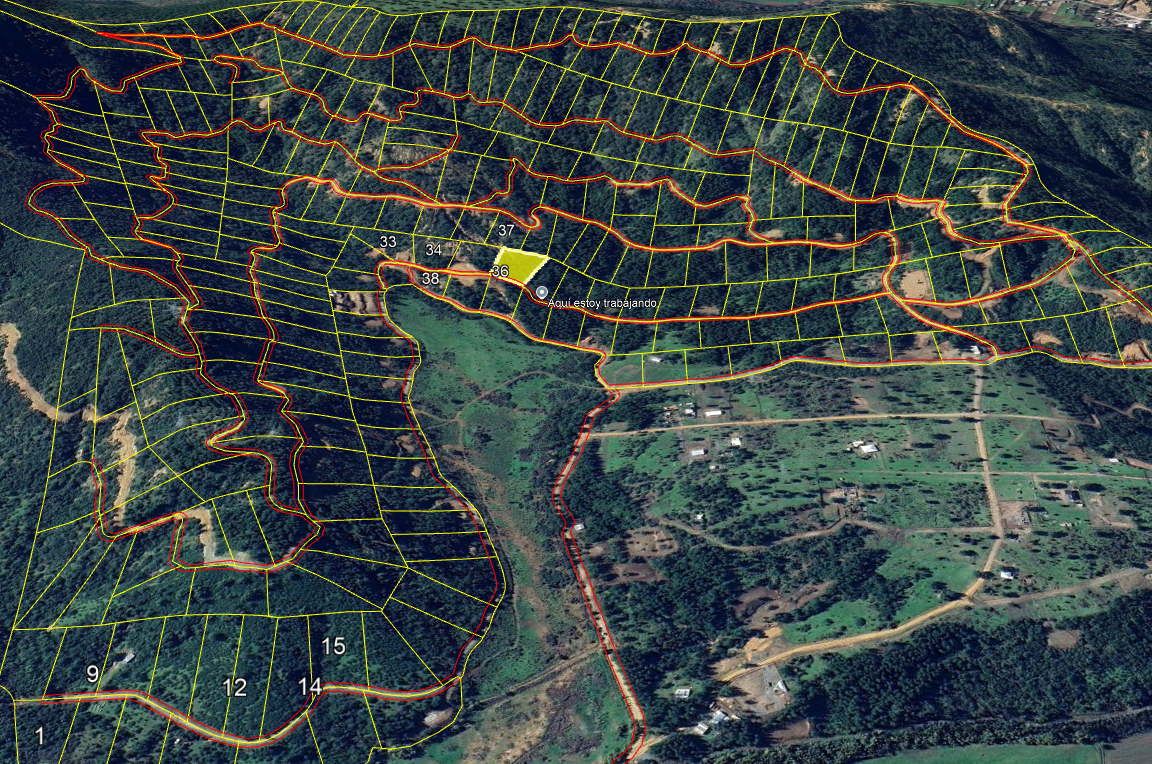 Lote 24 · Parcela 36
