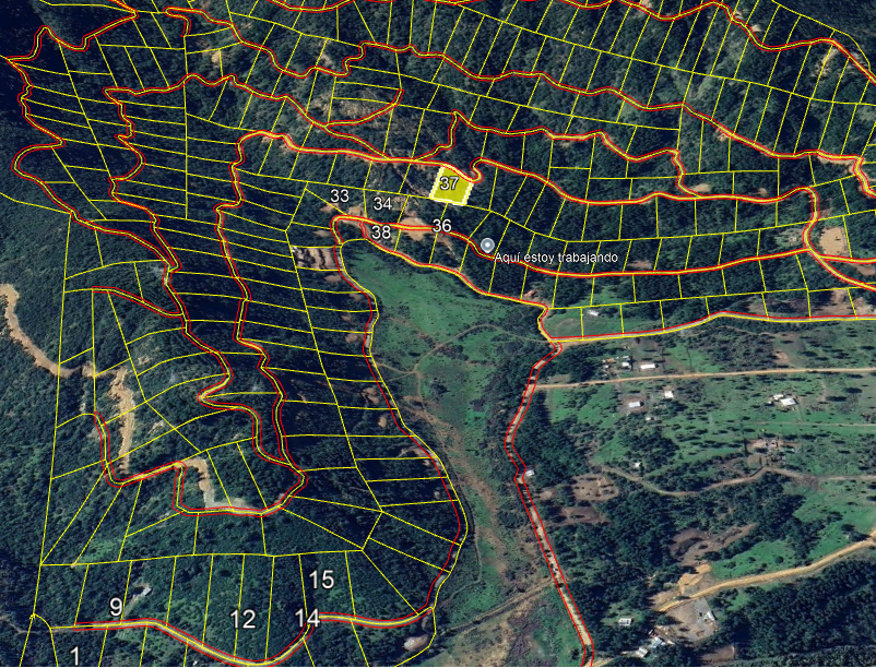 Lote 25 · Parcela 37