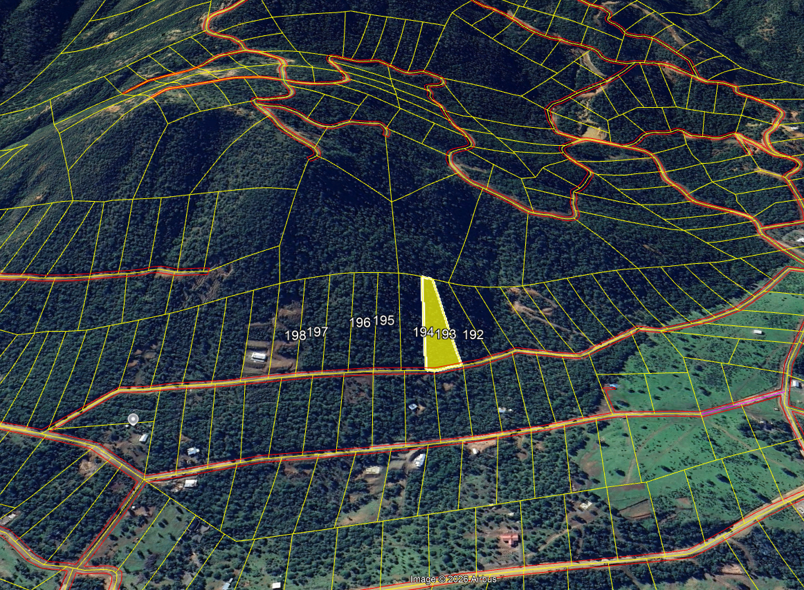Lote 28 · Parcela 193