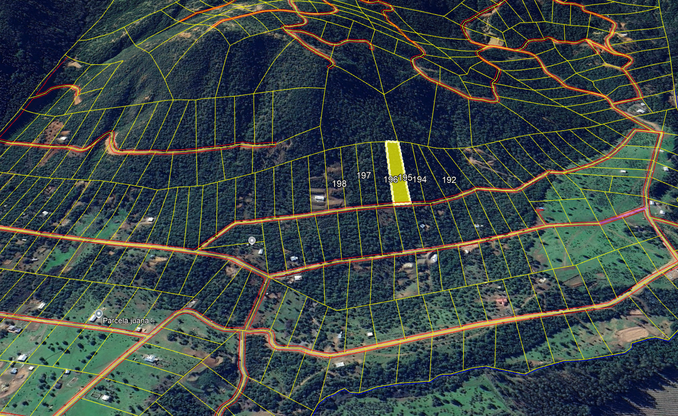 Lote 30 · Parcela 195