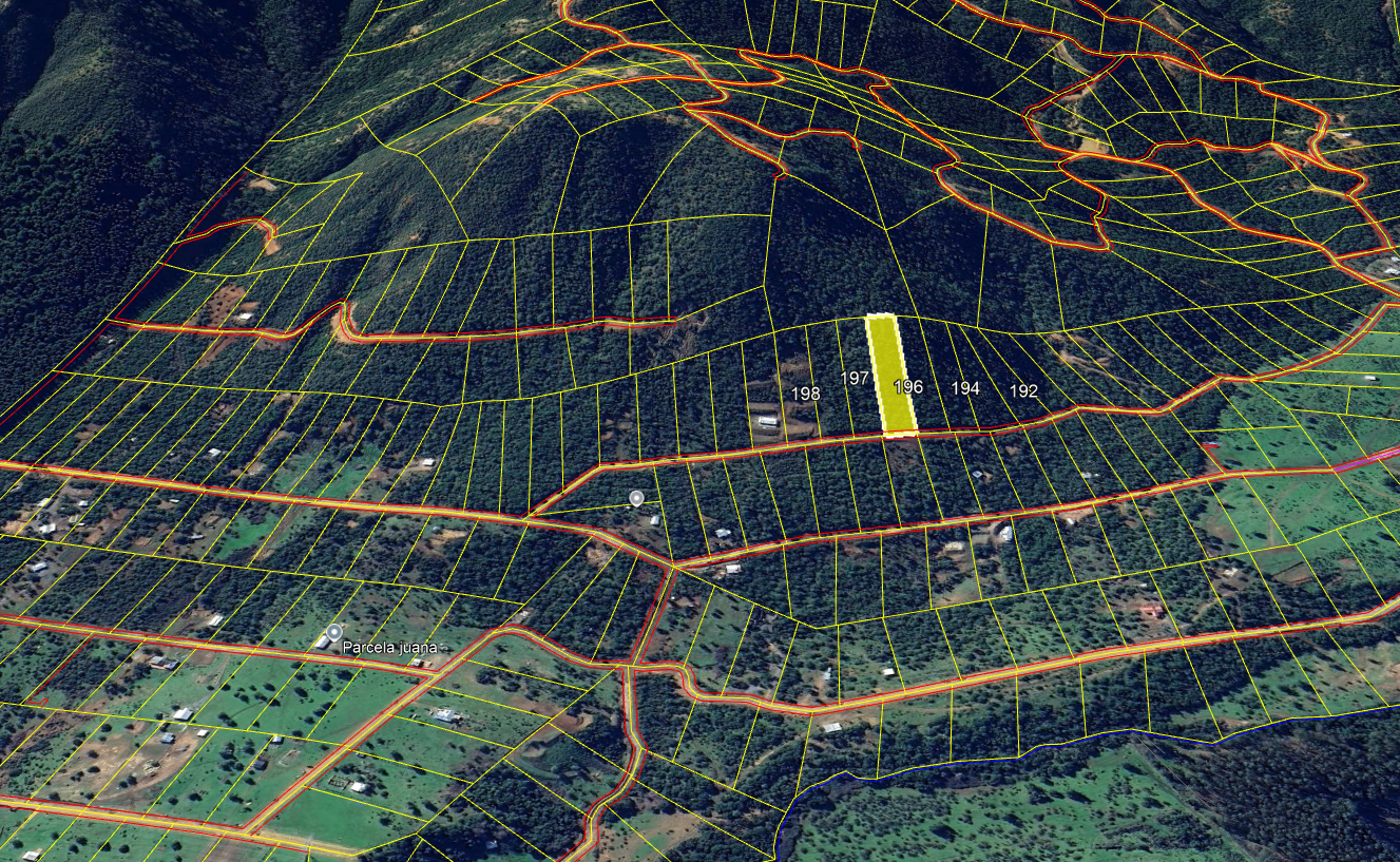 Lote 31 · Parcela 196
